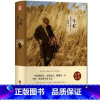 [正版] 牛虻 精装全译本无删减 原版原著 中文完整版 世界文学名著小说书籍 伏尼契 牛牤 名家名译世界名著