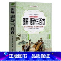 [正版]图解唐诗三百首 中国古诗词大全集国学经典诗经楚辞纳兰词译文文白对照注释成人版初中生小学生版课外阅读书籍