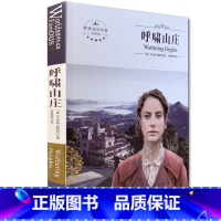 [正版]呼啸山庄 世界文学名著 中文全译本 煤炭工业出版社 中小学生课