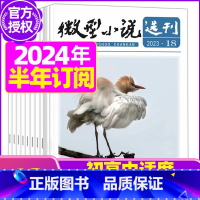 H[半年订阅]2024年1-6月 [正版]微型小说选刊杂志2023年/2024年1-12月全年/半年订阅/2022年打包