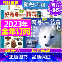 K[全年订阅]好奇号+阳光少年报2023年6月-2024年5月 [正版]好奇号杂志2023年9月另有1-8月全年半年