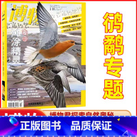 博物2023年10月[鸻鹬专题] [正版]博物杂志2023年1-10/11/12月/2024年送4本全年/半年订阅 中国