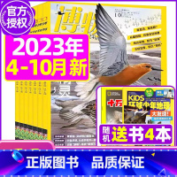 D[送书4本共11本]2023年4-10月 [正版]全年订阅送4本博物杂志2023/2024年1-12月订阅 中国国家地