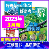 2023年3月共3本[动物的伪装+漫友阿根廷] [正版]好奇号杂志2023年1-10/11/12月/2024年全年/半年