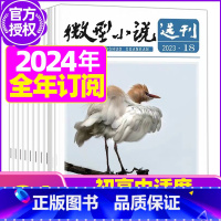 G[全年订阅]2024年1-12月 [正版]微型小说选刊杂志2023年/2024年1-12月全年/半年订阅/2022年打