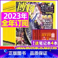 B[跨年订阅 送4个笔记本]2023年11月-2024年10月 [正版]全年订阅送4本博物杂志2023/2024年1-1