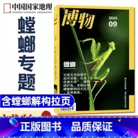 2023年9月[螳螂专题] [正版]鸻鹬专题博物杂志2023年10月另有1-9月可选+2024全年半年订阅中国国家地理青