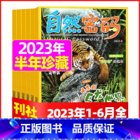 B[半年珍藏共6期]2023年1-6月 [正版]1-11月全年/半年订阅自然密码2023/2024年1-12月/20