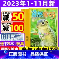 2023年7.8月 [正版]1-11月全年/半年订阅自然密码2023/2024年1-12月/2022年打包 科海故事