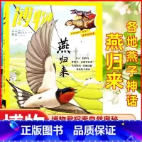 2023年4月[燕归来] [正版]鸻鹬专题博物杂志2023年10月另有1-9月可选+2024全年半年订阅中国国家地理青少