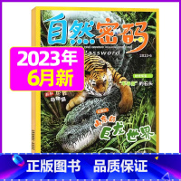 2023年6月 [正版]1-11月全年/半年订阅自然密码2023/2024年1-12月/2022年打包 科海故事博览