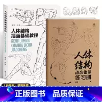 [正版]人体结构插画基础教程+人体结构动态临摹本两册套装 动漫描摹本 素描速写手绘临摹 人体结构造型手绘技法 漫画人物绘