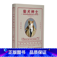 [正版]柴犬绅士 都市型男穿搭指南 四季穿搭 潮流经典 精品男士穿搭教程 衣品搭配教程 穿衣风搭配 绅士的品格 男士穿搭