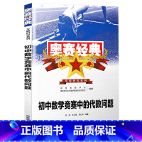 [初中]代数问题 初中通用 [正版]奥赛经典初中数学中的代数几何组合数论问题竞赛中的秘密名师讲堂奥林匹克题型与技巧专题训