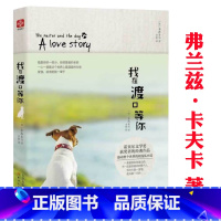 弗兰兹·卡夫卡:我在渡口等你 [正版]变形记:卡夫卡小说精选 弗兰兹·卡夫卡著“现代派文学鼻祖”卡夫卡代表作书籍