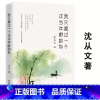 [正版]沈从文小说精选集 我只爱过一个正当年龄的你 散文小说书籍湘行书简我想牵着你的手走过这座桥越孤独越自由作品集