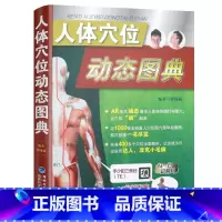 [正版]人体穴位动态图典 软精装人体经络AR取穴穴位针灸拔罐艾灸按摩人体经络穴位使用详解精解图册保健养生书籍