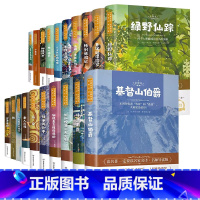 全套20册 [正版]名师导读 世界文学名著:绿野仙踪 鲁滨逊漂流记 爱丽丝漫游奇境海底两万里 地心游记八十天环游地球木偶
