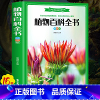 植物百科全书 [正版]全4册恐龙百科全书 昆虫百科全书 植物百科全书 自然百科全书 适合儿童二三四五六年级 课外百科全书