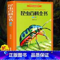 昆虫百科全书 [正版]全4册恐龙百科全书 昆虫百科全书 植物百科全书 自然百科全书 适合儿童二三四五六年级 课外百科全书