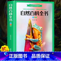 自然百科全书 [正版]全4册恐龙百科全书 昆虫百科全书 植物百科全书 自然百科全书 适合儿童二三四五六年级 课外百科全书