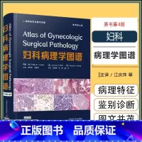 [正版]w 妇科病理学图谱原书第四4版 江庆萍 王昀 胡丹 译 妇科疾病诊断女性生殖系统临床鉴别诊断 中国科学技术出版社