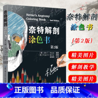 [正版] 奈特解剖涂色书第2版第二版 人体解剖图谱 解剖结构参考工具书籍 解剖学要点教程 北京科学技术出版社978753