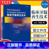 [正版]临床牙髓再生技术 现况与展望 面向口腔科医生 腔医学在读本科生和研究生 亨利 F 邓肯主编 辽宁科学技术出版社9