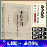 [正版] 中医外科常见病证辨证思路与方法 主编 唐汉钧 刘胜 人民卫生出版社9787117299411