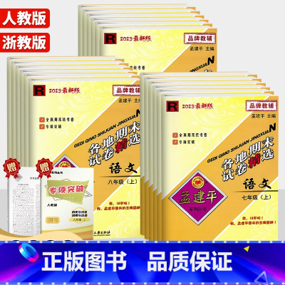 语文/人教版 七年级下 [正版]2024新版孟建平各地期末试卷精选初中七八九年级上册下册语文数学英语科学人教版浙教版外研