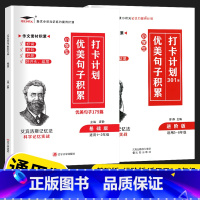 全两册[套装更实惠] 小学通用 [正版]优美句子积累打卡计划179篇301篇小学生一年级二年级三年级四五六年级上下册小学