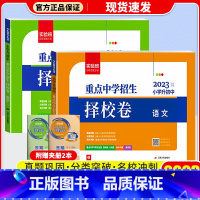 [2本]语文+数学 小学升初中 [正版]2023新版春雨实验班小升初重点中学招生择校卷语数英人教版小学毕业升初中总复习教