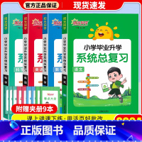 [通用版]语文+数学+英语+科学 4本套 小学升初中 [正版]2024版阳光同学小学毕业小升初系统总复习语文数学英语科学