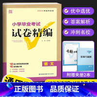 语文 小学六年级 [正版]2023新版 通城学典小学毕业考试试卷精编小升初系统总复习 语文数学英语真题模拟试卷人教版六年