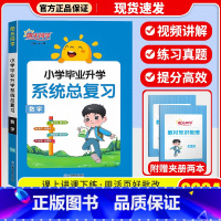 [通用版]数学 小学升初中 [正版]2024版阳光同学小学毕业小升初系统总复习语文数学英语科学浙江版通用版小学升初中知识