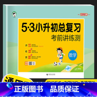 小升初总复习-数学 小学升初中 [正版]53小升初系统总复习2023全套语文数学英语人教版小学六年级下册试卷天天练同步专