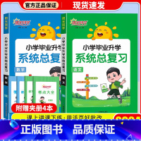 [通用版]语文+数学 2本套 小学升初中 [正版]2024版阳光同学小学毕业小升初系统总复习语文数学英语科学浙江版通用版