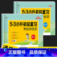 [2本]小升初总复习-语文+数学 小学升初中 [正版]53小升初系统总复习2023全套语文数学英语人教版小学六年级下册试