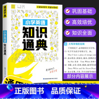 [单本]英语 小学通用 [正版]2023新版 通城学典小学语文数学英语知识通典通用版 古诗文词汇学典小学生一二三四五六年