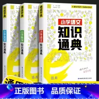 [3本套]语文+数学+英语 小学通用 [正版]2023新版 通城学典小学语文数学英语知识通典通用版 古诗文词汇学典小学生