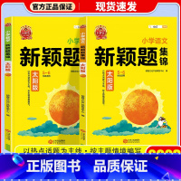 太阳版 数学 小学通用 [正版]2023新版 王朝霞新颖题集锦太阳月亮版知识大盘点语文数学四五六年级学习学霸阅读理解专项
