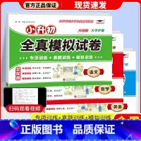 [3本]语文+数学+英语 小学升初中 [正版]冲刺名校小升初真题卷2023全真模拟试卷语文数学英语六年级下册小学升初中试