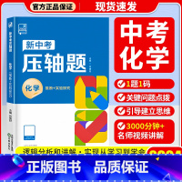 化学 九年级 [正版]2024新版 新中考压轴题数学函数几何物理化学初三总复习资料挑战压轴题高分突破中考卷中考真题卷解