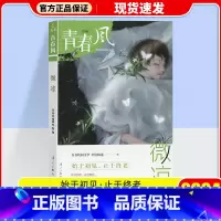 疯狂阅读 青春风特辑 微凉 [正版]2024版疯狂阅读青春风特辑珍藏本中国风青春风迷蝶流年微凉倾城中学生课外阅读