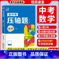 数学(几何) 九年级 [正版]2024新版 新中考压轴题数学函数几何物理化学初三总复习资料挑战压轴题高分突破中考卷中考