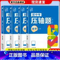 80%❤️4 本[学霸推荐] 九年级 [正版]2024新版 新中考压轴题数学函数几何物理化学初三总复习资料挑战压轴题高