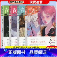 共4本 流年+迷蝶+倾城+微凉 [正版]2024版疯狂阅读青春风特辑珍藏本中国风青春风迷蝶流年微凉倾城中学生课外阅读