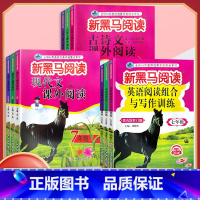 古诗文阅读 八年级/初中二年级 [正版]2024新版新黑马阅读 现代文课外阅读 初中七7八8九9年级上下册通用 初中语文