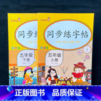 同步练字帖 五年级上 [正版]2023新版五年级上册下册同步练字帖人教版 练字帖小学生5上语文生字描红下硬笔书法练习笔顺