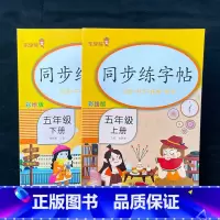 同步练字帖 五年级下 [正版]2023新版五年级上册下册同步练字帖人教版 练字帖小学生5上语文生字描红下硬笔书法练习笔顺